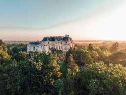 OLEVENE image -  Suite Royale-